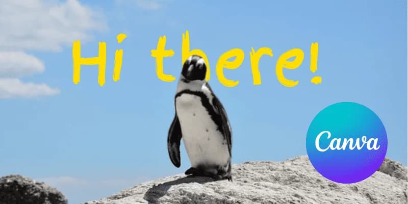 How to Put Text Behind Images in Canva Free